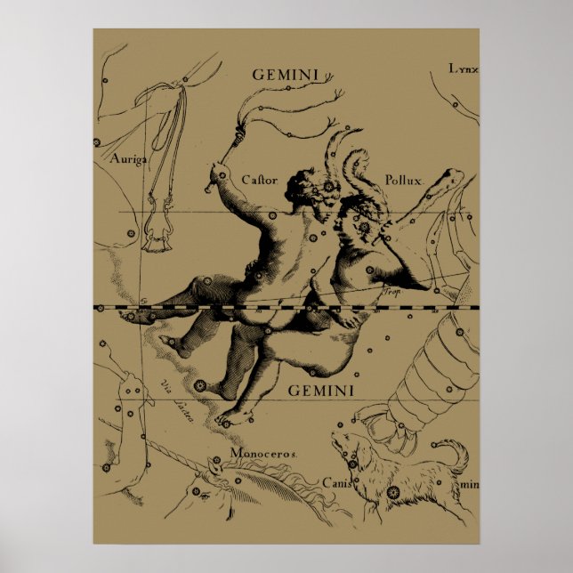 Poster Gemini Constellation Zodiac Hevelius 1690 (Devant)