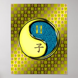 Poster Gemini & Rat d'eau