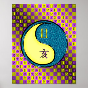 Poster Gemini & Water Boar