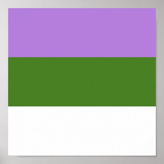 POSTER GENDERQUEER PRIME (Devant)