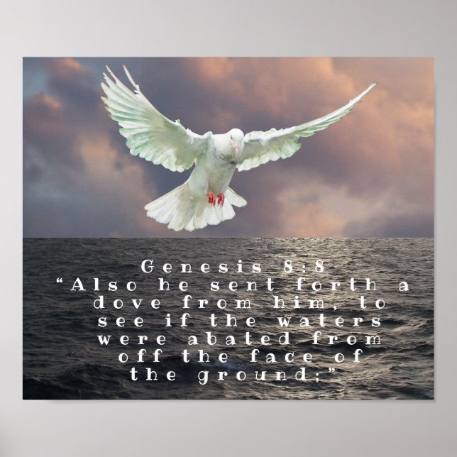 POSTER GENÈSE 8:8 (Devant)