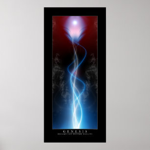 Poster Genèse - Large frontière