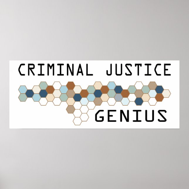 Poster Génie de la justice pénale (Devant)