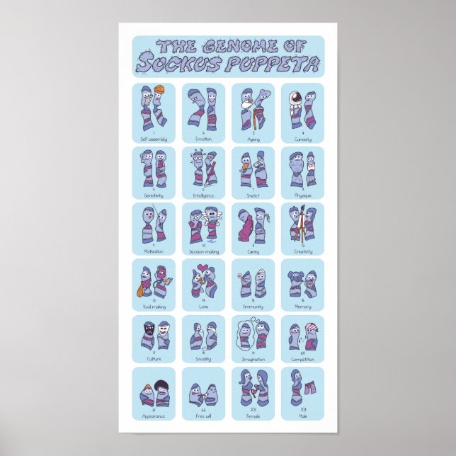 Poster Génome d'une marionnette à queue (Devant)