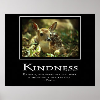 Poster Gentillesse