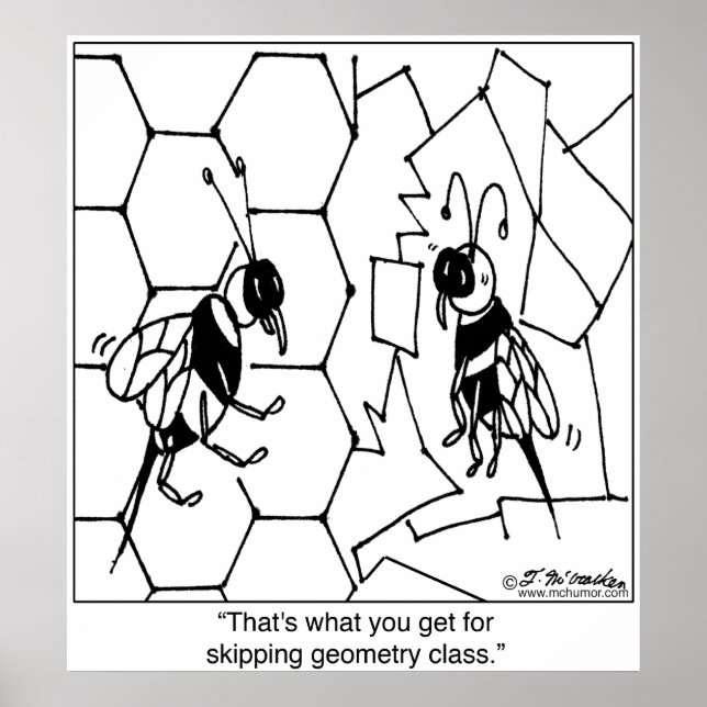 Poster Géométrie des abeilles (Devant)