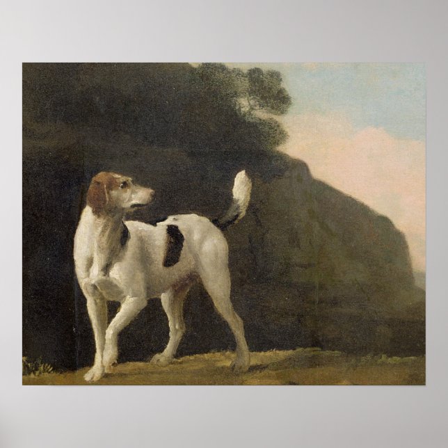 Poster George Stubbs | A Foxhound, c.1760 (huile sur papi (Devant)
