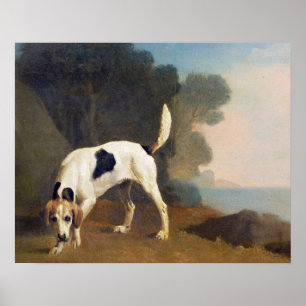 Poster George Stubbs Foxhound on the Scent, c.1760 (oil