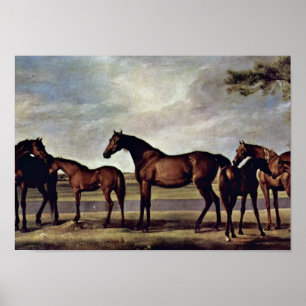 Poster George Stubbs - juments avant une tempête