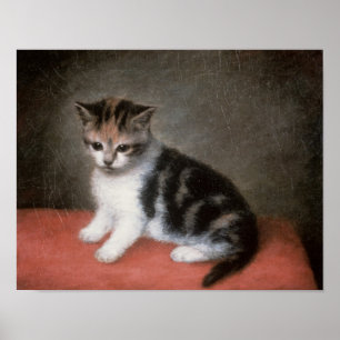 Poster George Stubbs Miss Ann White's Kitten, 1790