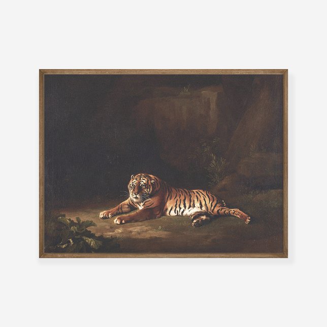 Poster George Stubbs Tiger Peinture Art (Créateur téléchargé)