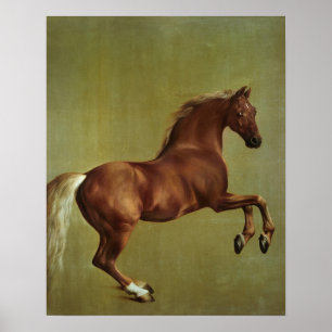 Poster George Stubbs   Whistlejacket, 1762