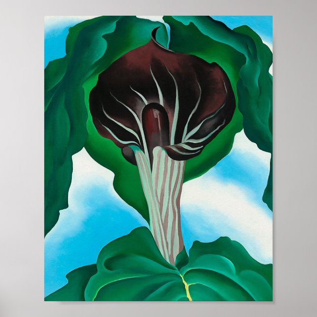 Poster georgia okeeffe, art, (Devant)