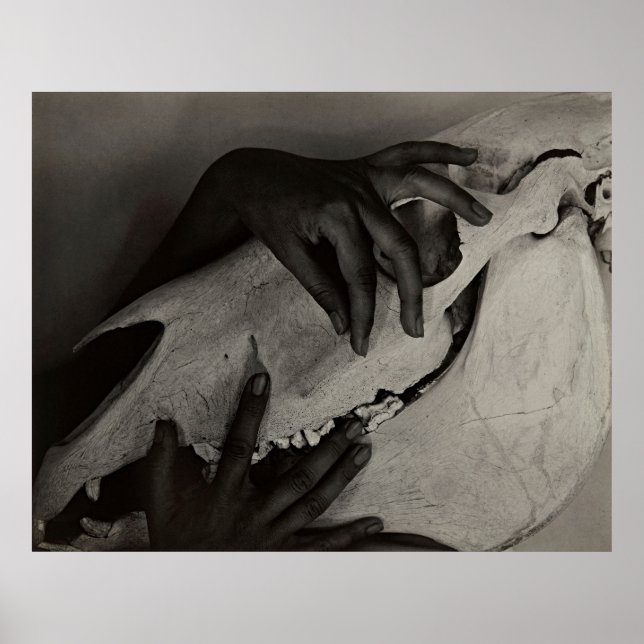 Poster Georgia O'Keeffe Hands & Cheval Skull - Art Modern (Devant)