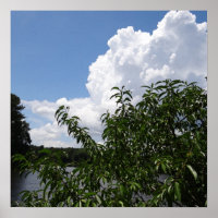 Georgia Peach Tree Fluffy White Nuages