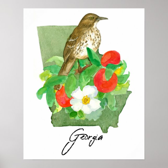 Poster Georgia State Shape Bird Brown Thrasher (Devant)
