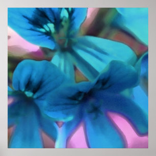 Poster Geraniums bleus