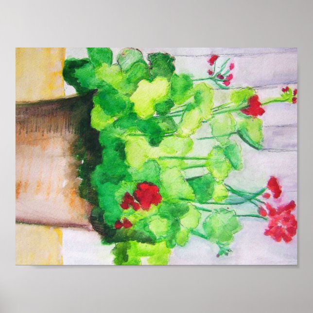 Poster - Geraniums En août (Devant)