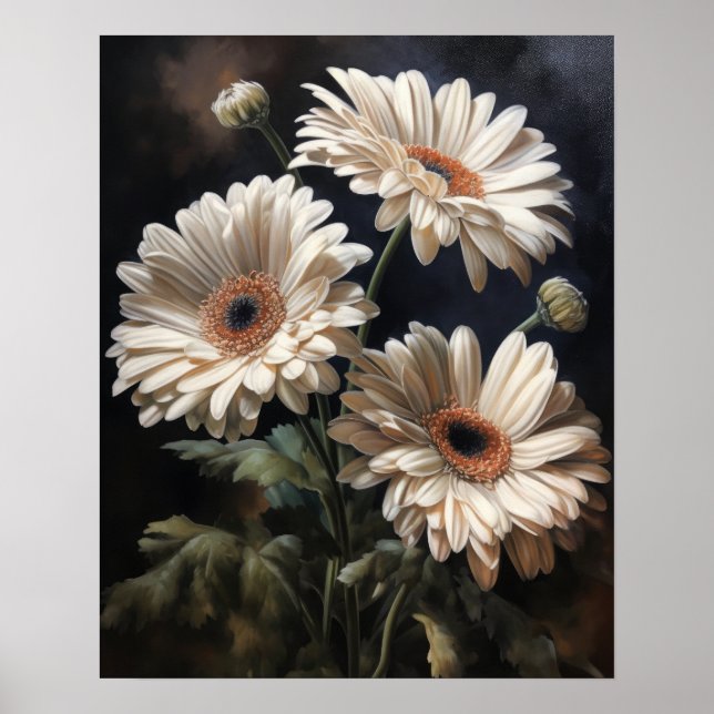Poster Gerbera blanche Fleurs marguerites Art Imprimer Po (Devant)