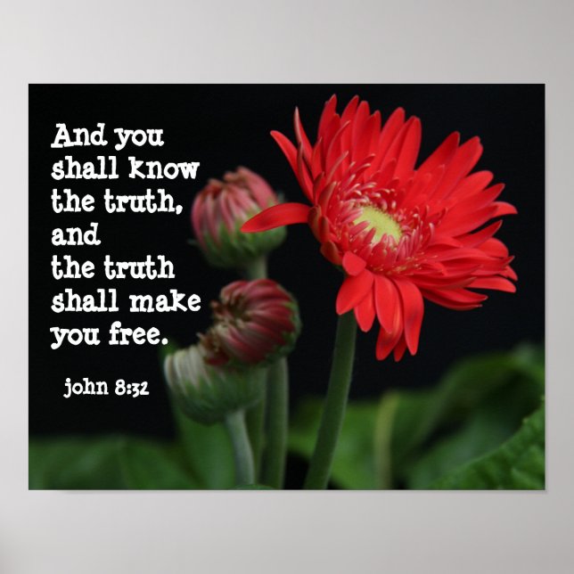 Poster Gerbera Daisy avec Verse des Écritures (john 8:32) (Devant)
