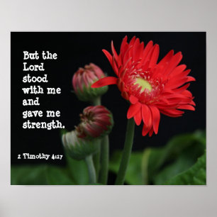 Poster Gerbera Daisy avec Verse des Écritures (Timothée 4