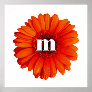 Poster Gerbera Daisy Monogramme initial