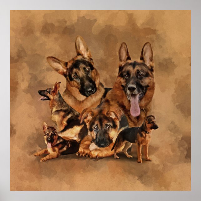 Poster German Shepherd Dog (Devant)