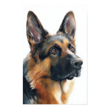German shepherd portrait watercolor