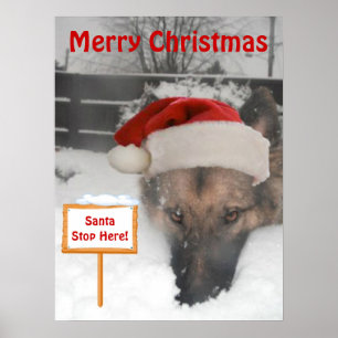 Poster German Shepherd Santa Stop Here Sign