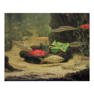 Poster Gerrit Willem Dijsselhof - Or/Silverfish Glossy