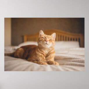 Poster Getty Images  