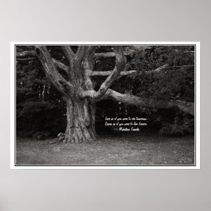 Poster Ghandi Quote Poster, Perley Oak Monochrome