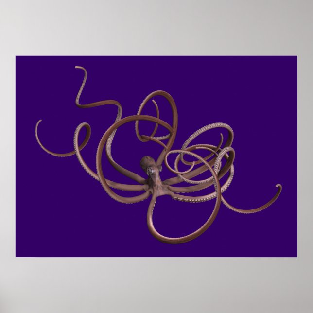 Poster Giant Kraken (Devant)