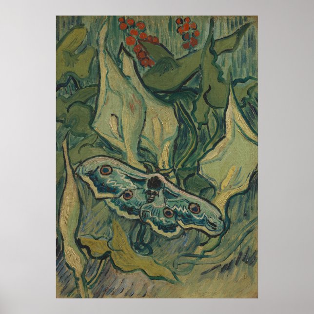 Poster Giant Peacock Moth (1889) par Vincent van Gogh (Devant)