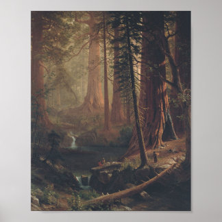 Poster Giant Redwoods par Albert Bierstadt