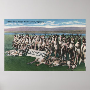 Poster Gillette, WY - Où l'Antelope Roam