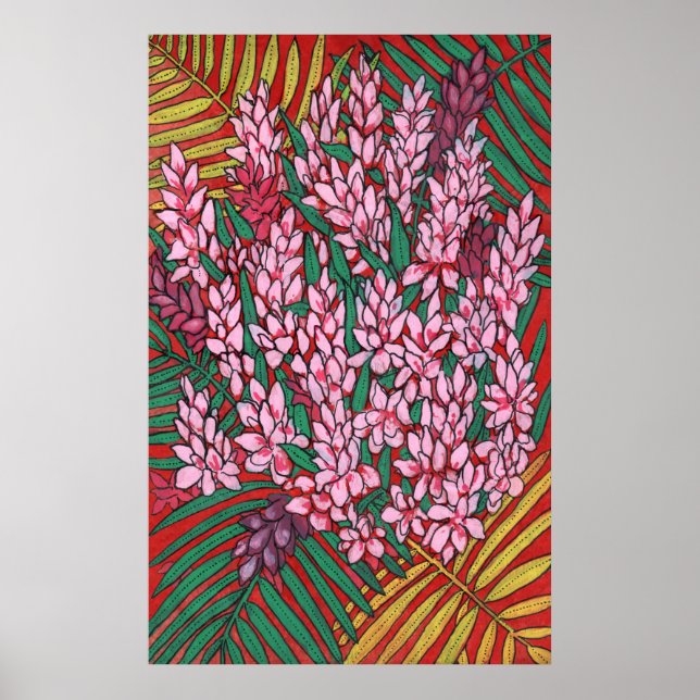Poster Gingembre de cône rose Alpinia Fleurs tropicales F (Devant)