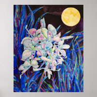 Ginger Moon