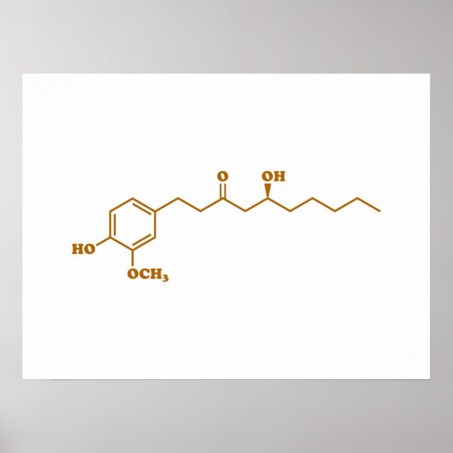Poster Gingerol Molecule formule chimique (Devant)