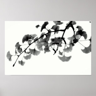 Poster Gingko Biloba Feuillage en noir et blanc