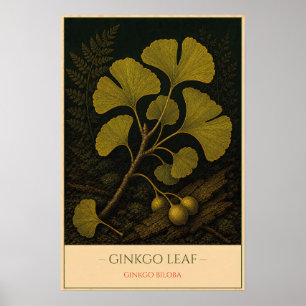 Poster Ginkgo Leaf