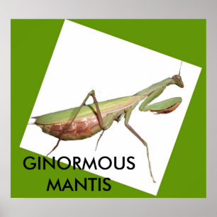 POSTER GINORMOUS MANTIS