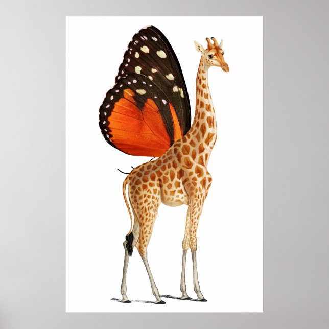 Poster Girafe à papillon (Devant)