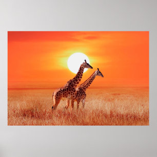 Poster Girafe dans la savane africaine contre le dos