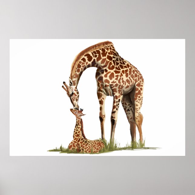 Poster Girafe et bébé veau embrasser (Devant)