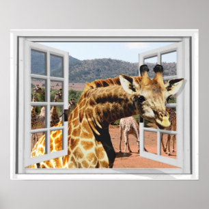 Poster Giraffe dans Fake Window View Trompe l'oeil Effet