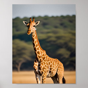 Poster Giraffe debout haute