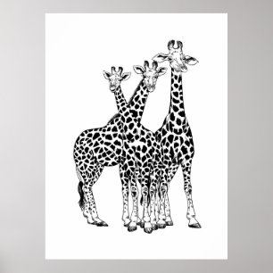 Poster Giraffe family