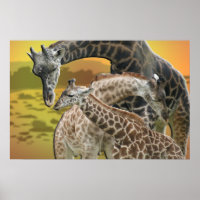 GIRAFFE TWISTER LOVE TRIANGLE FRAMED IMPRIMER