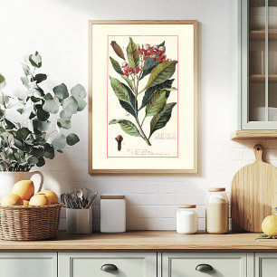POSTER GIROFLES - ILLUSTRATION BOTANIQUE VINTAGE